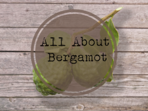 Bergamot essential oil