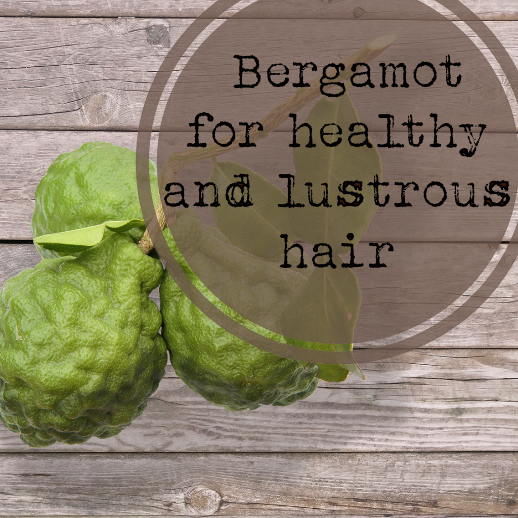 Bergamot for healthy and lustrous hair